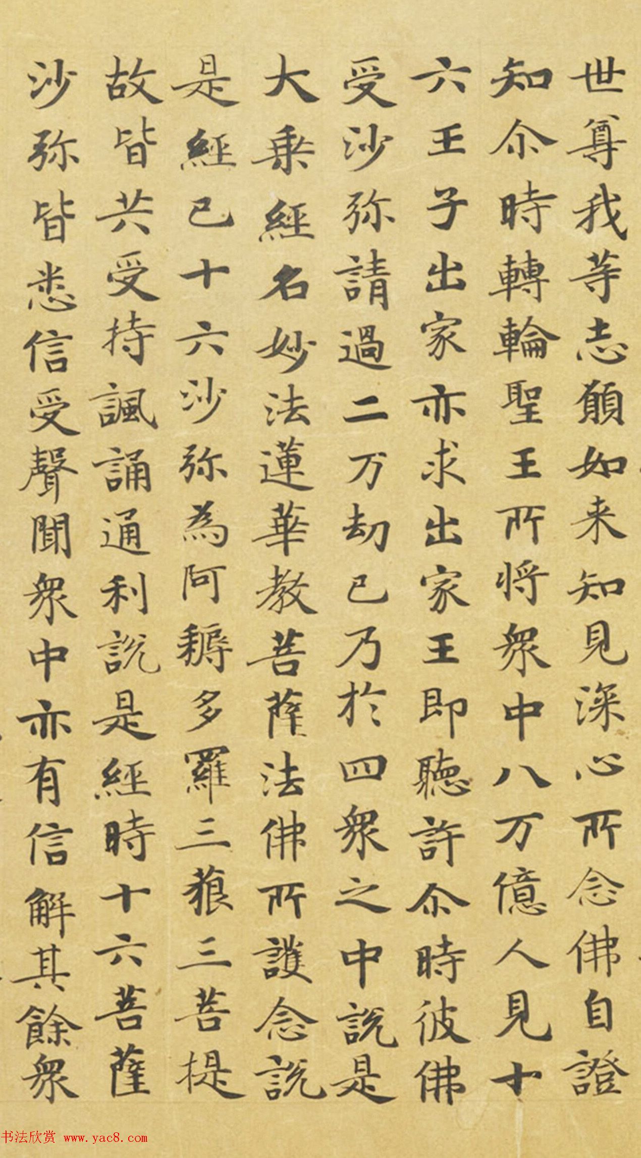 ƴ顶