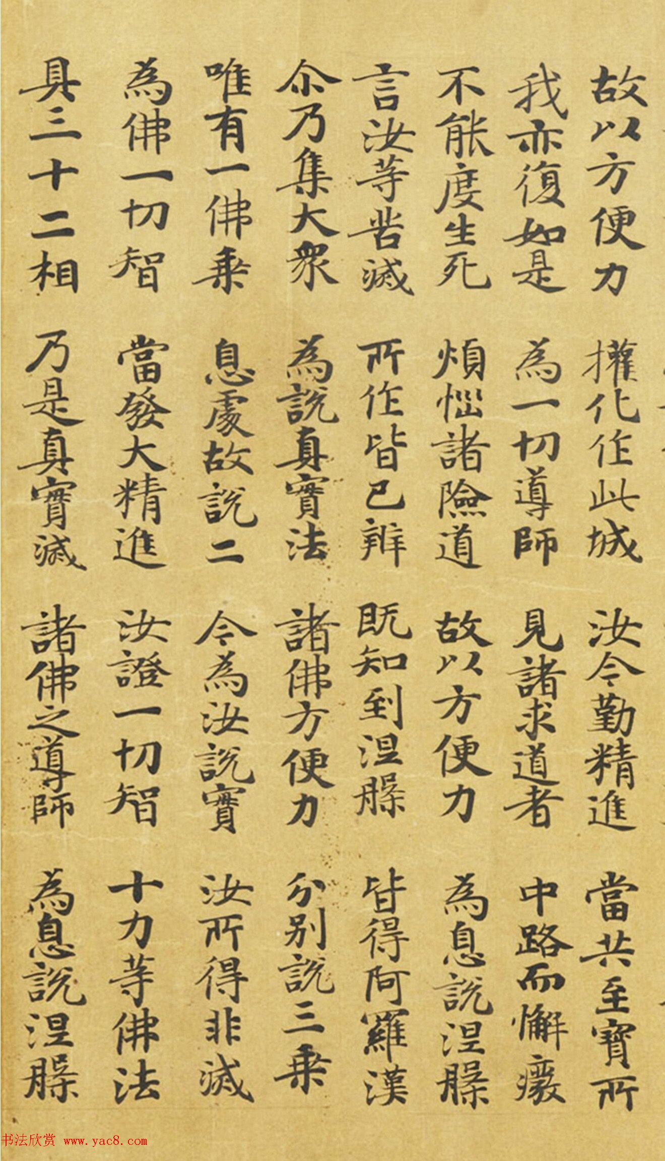 ƴ顶