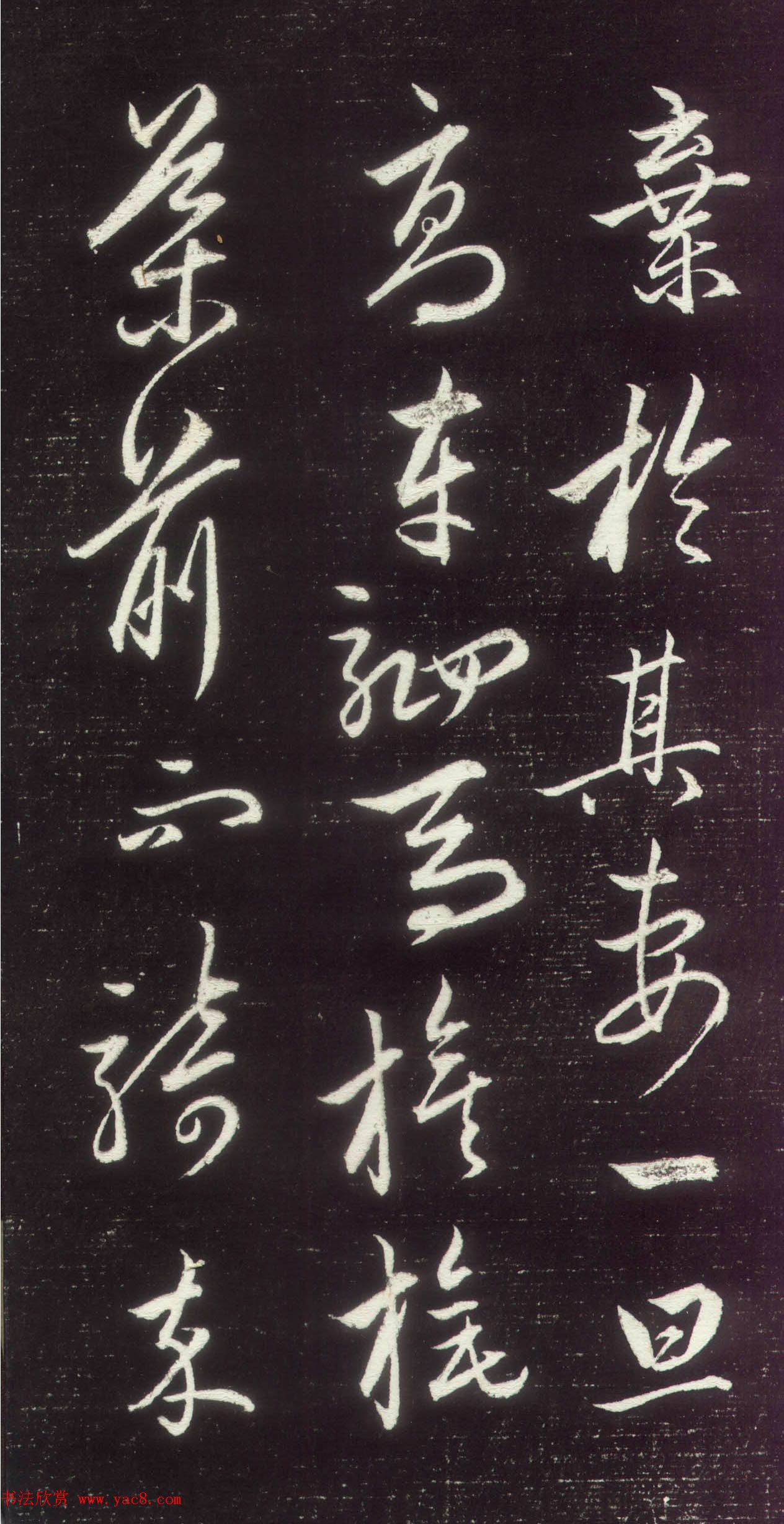 \вƷüǡ