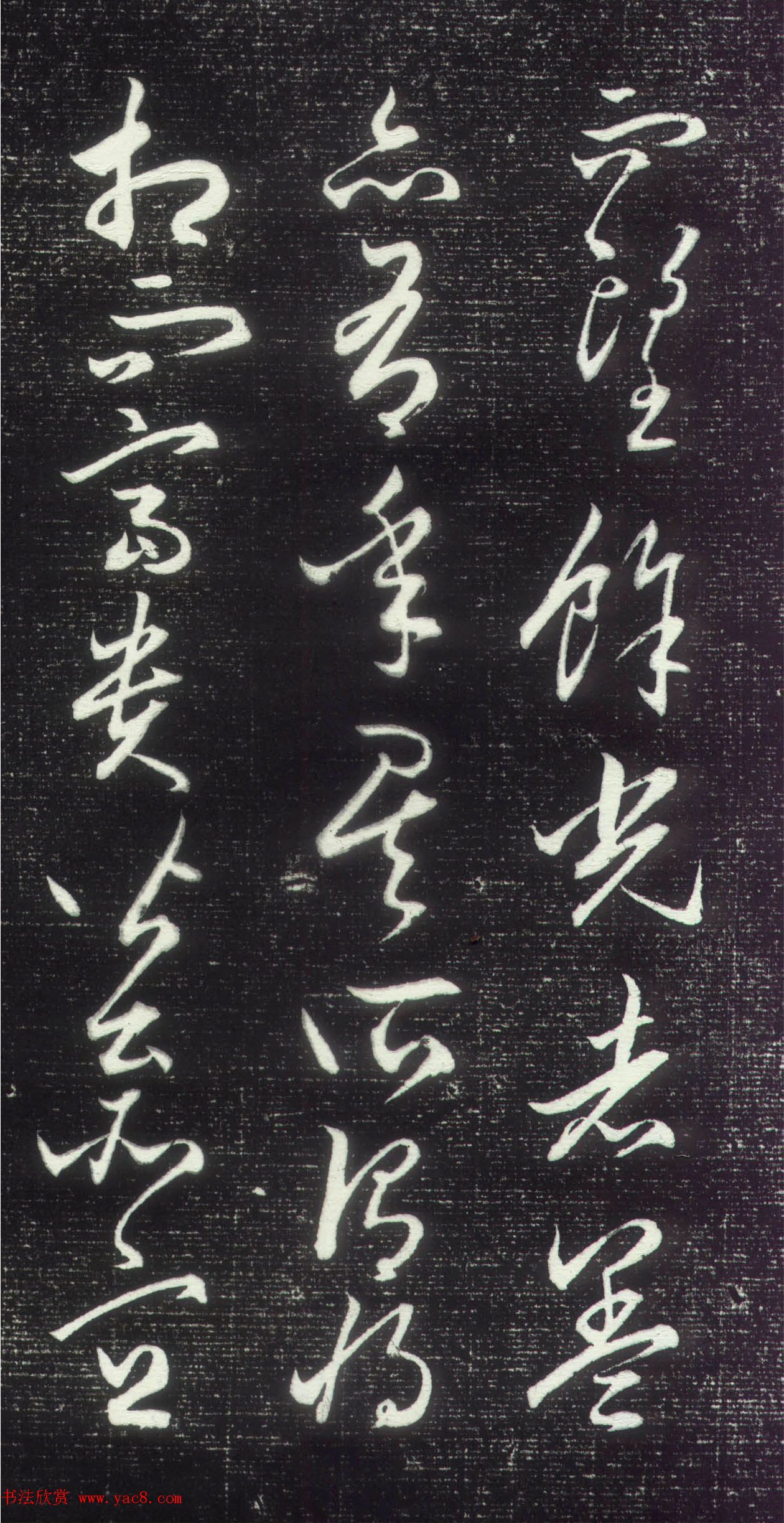 \вƷüǡ