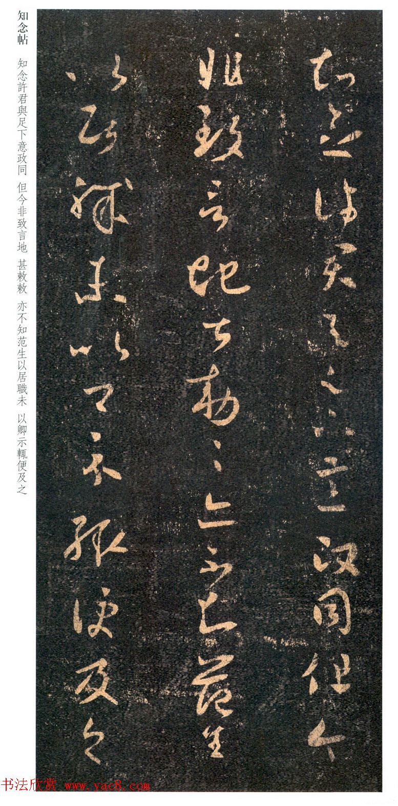 ֮鷨֪͡