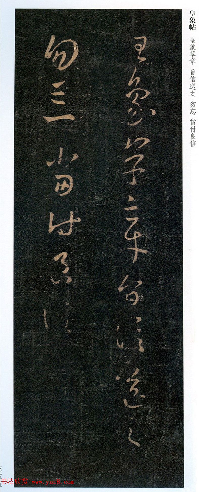 ֮鷨Ͳ顶