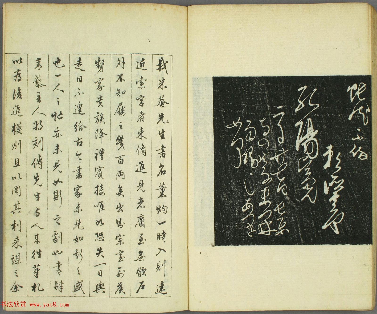ձ鷨֡