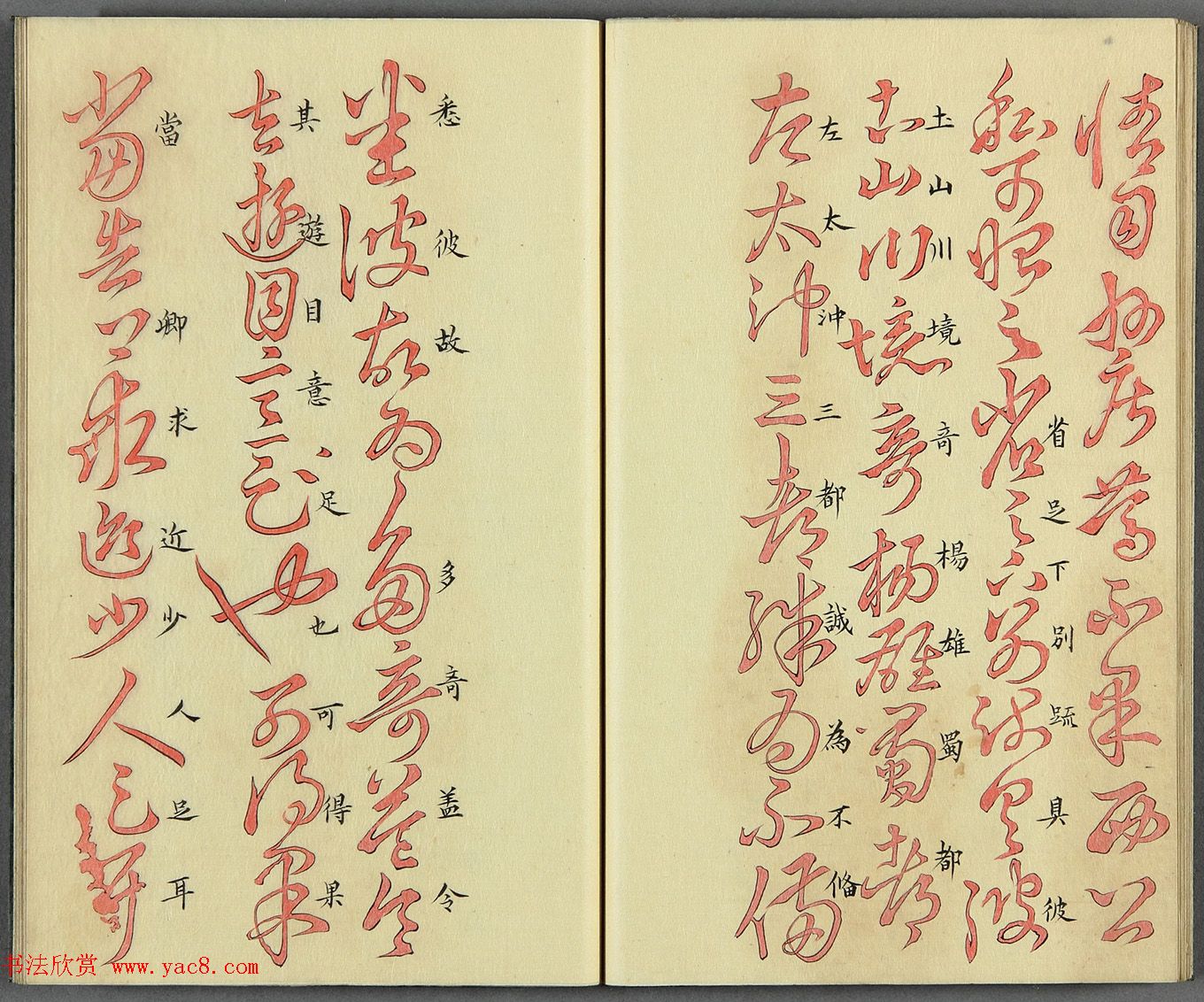 ձɽͯ顶֮ʮ