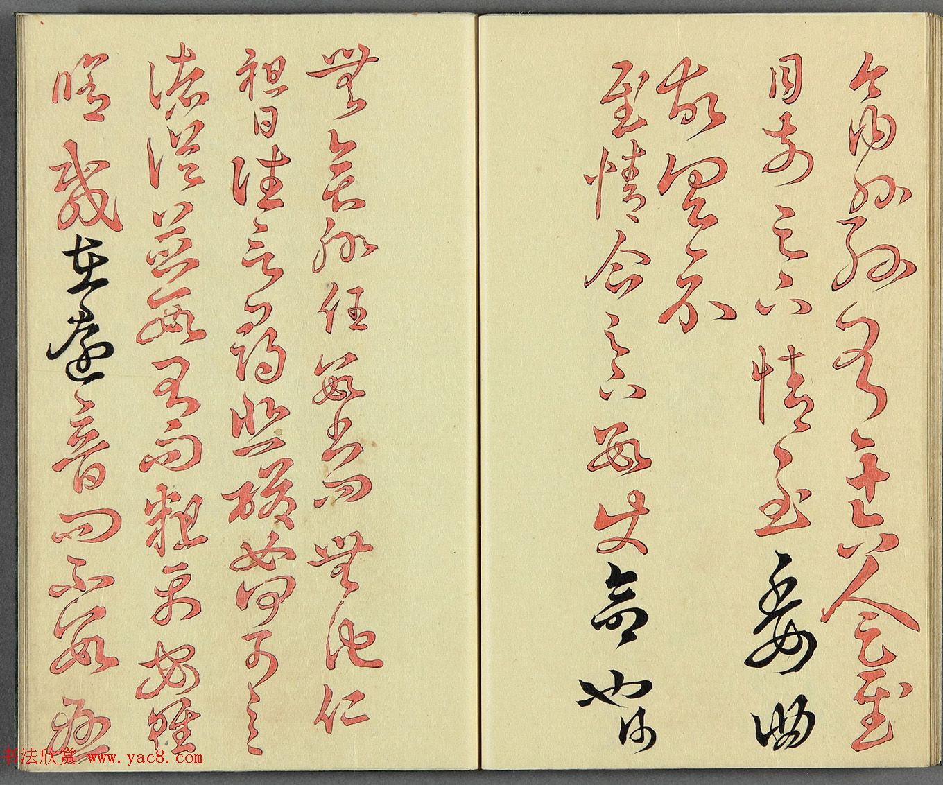 ձɽͯ顶֮ʮ