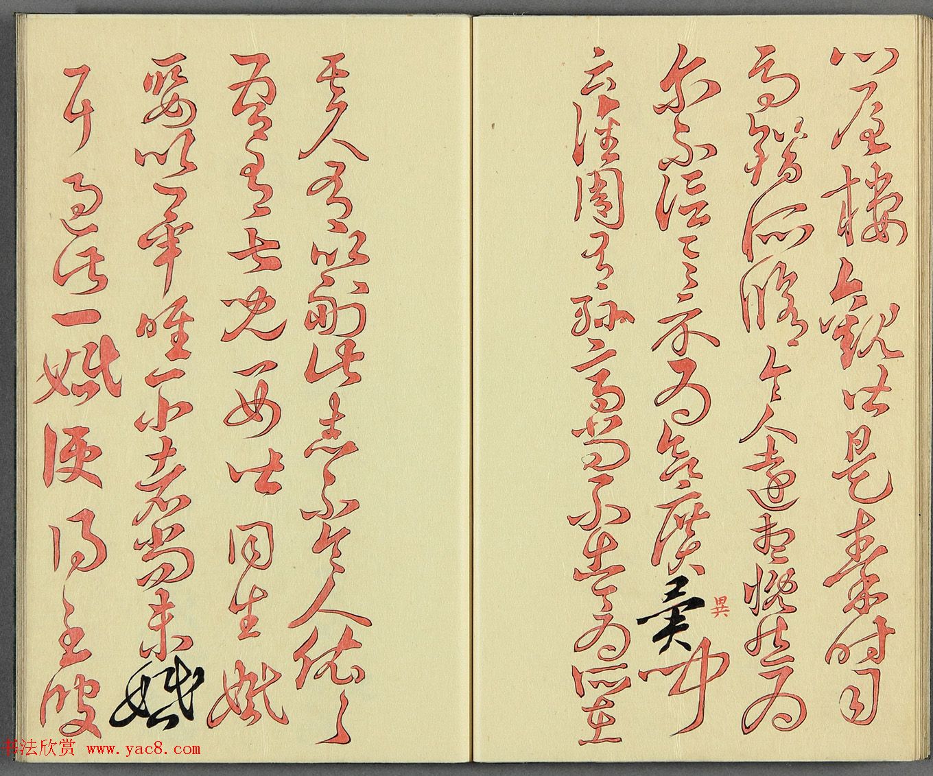 ձɽͯ顶֮ʮ