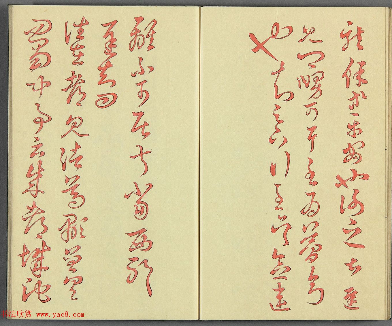 ձɽͯ顶֮ʮ