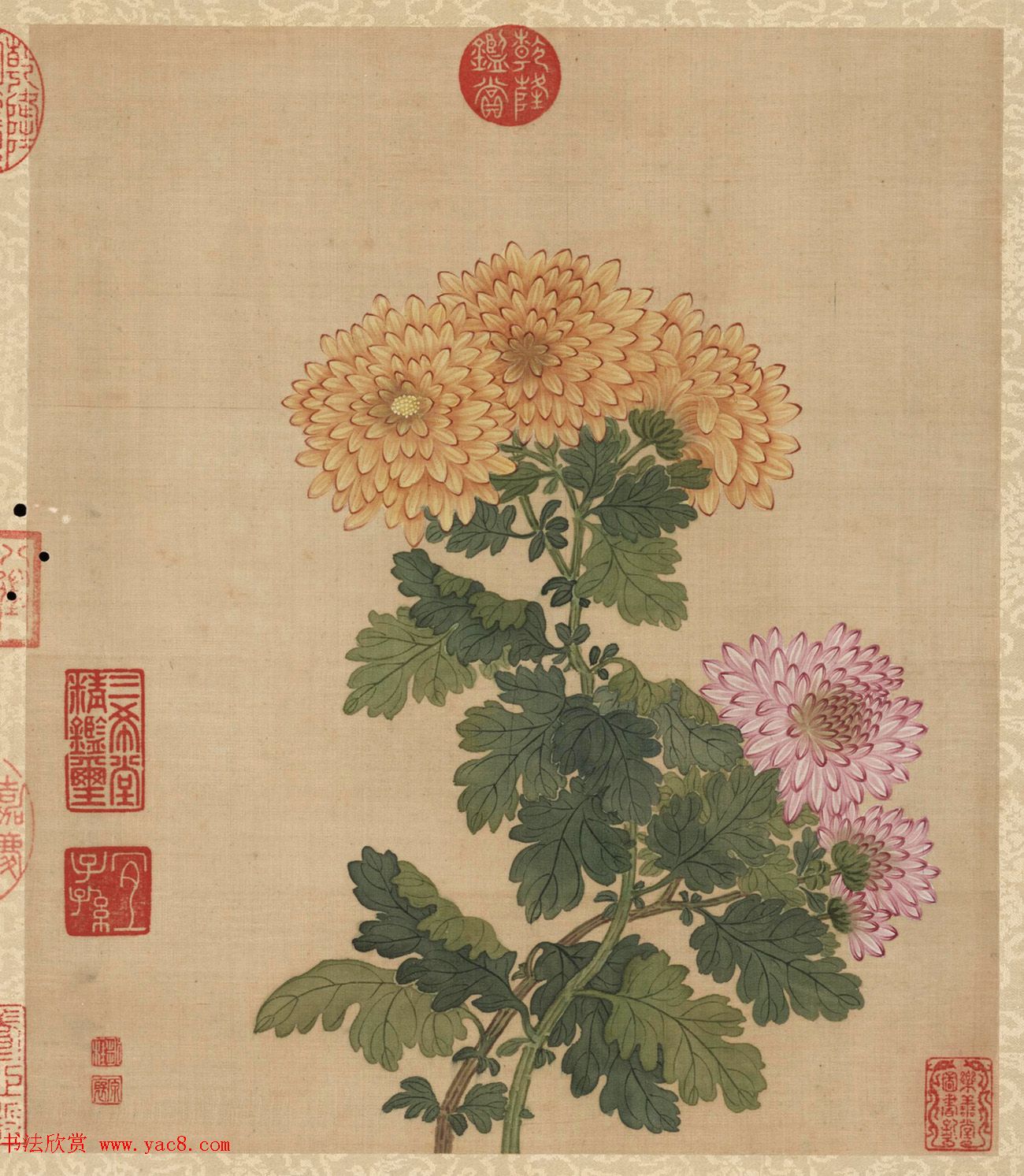 ʫ鷨Ǭ¡һ𻨻ܡ