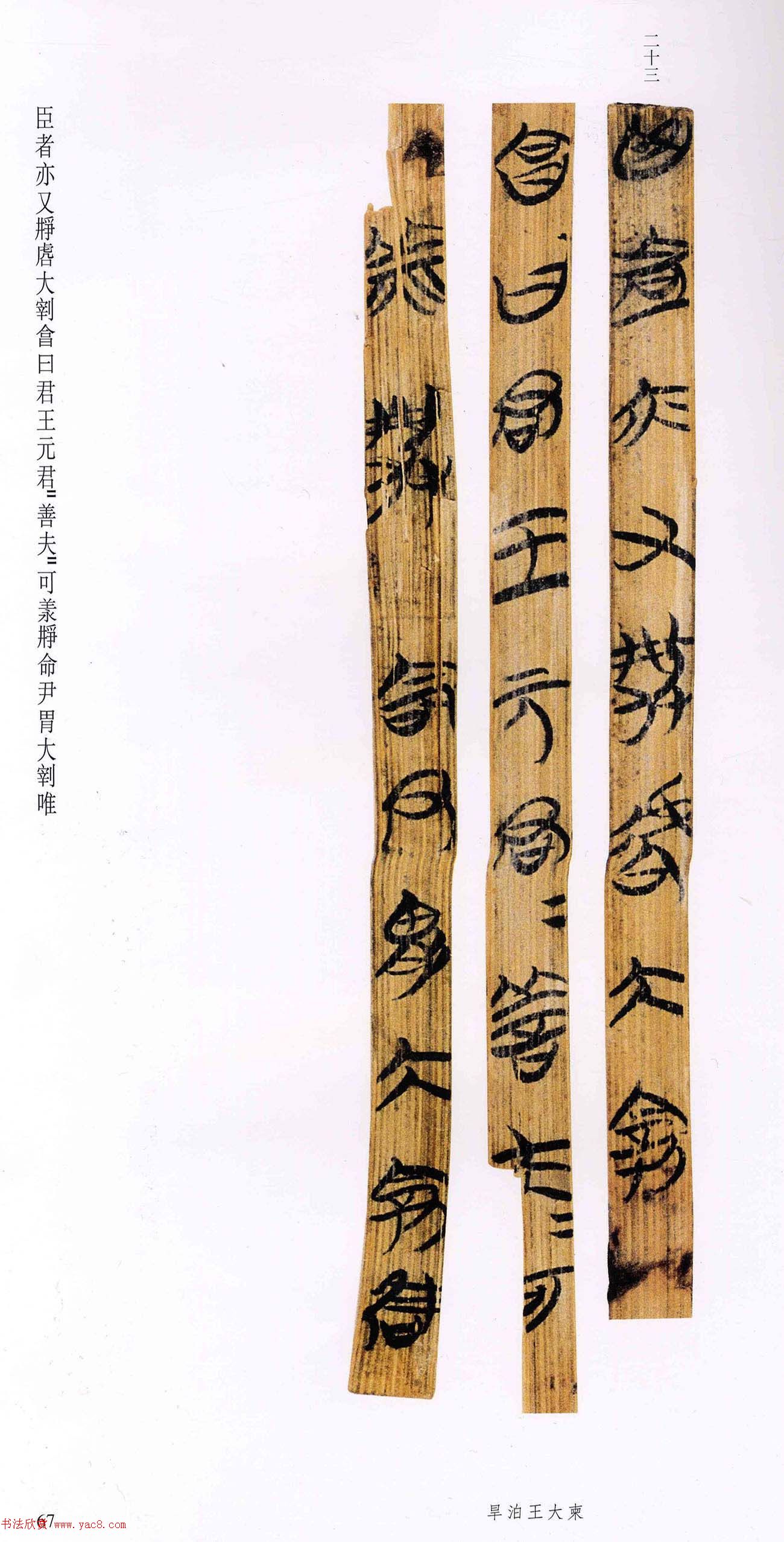战国楚竹简《柬大王泊旱》