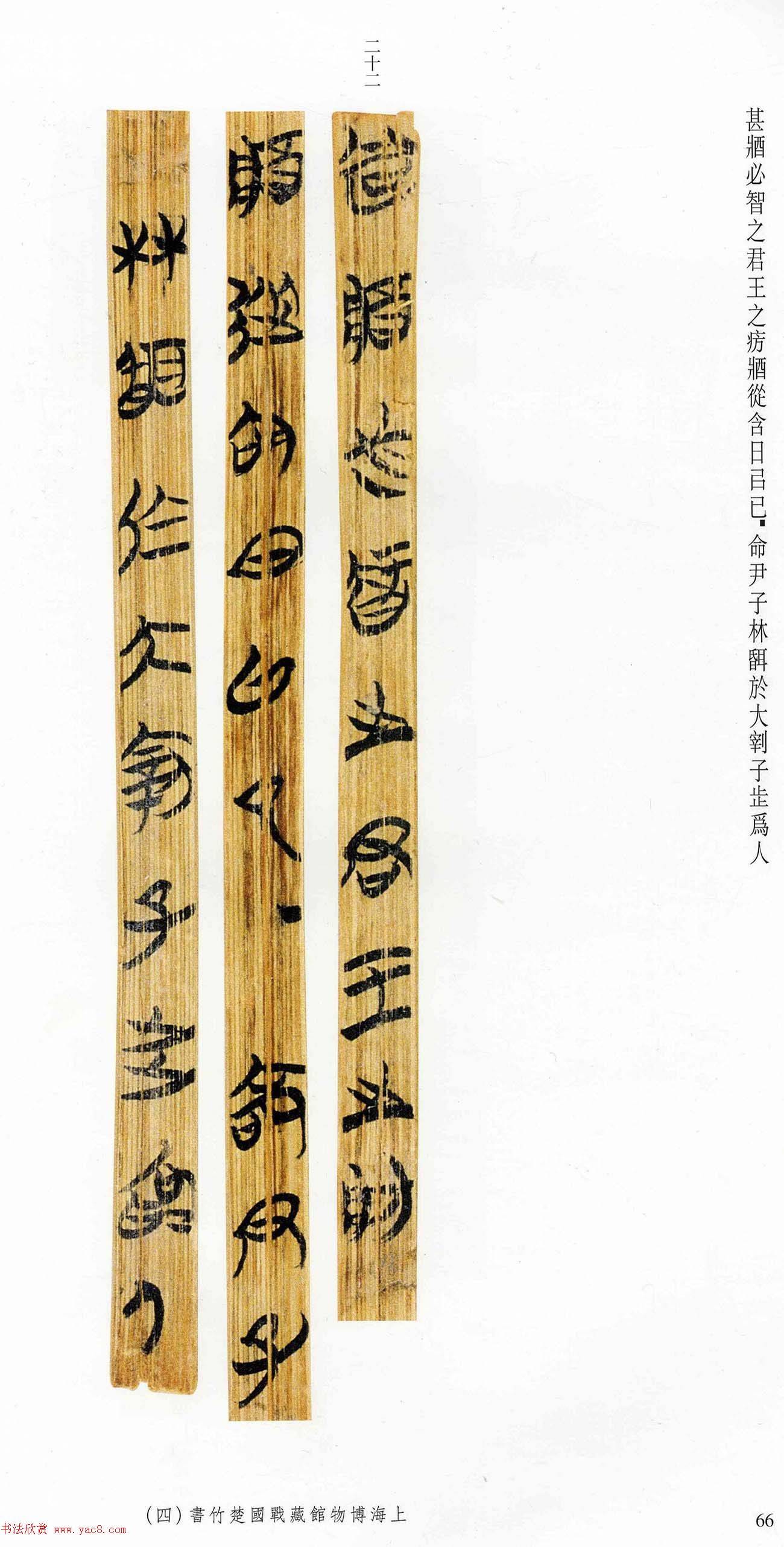 战国楚竹简《柬大王泊旱》