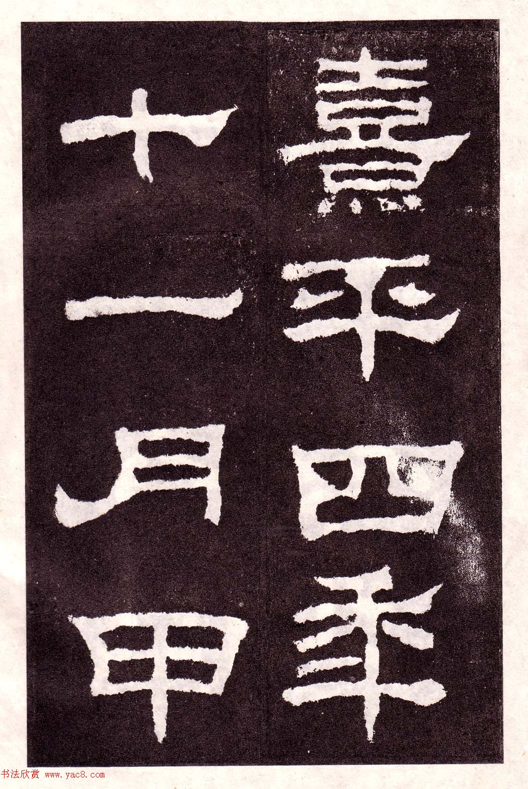 鱮͡