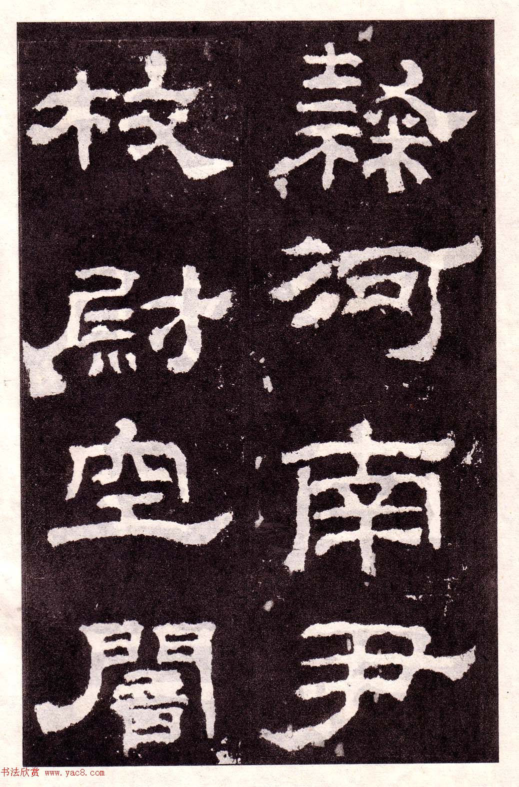 鱮͡