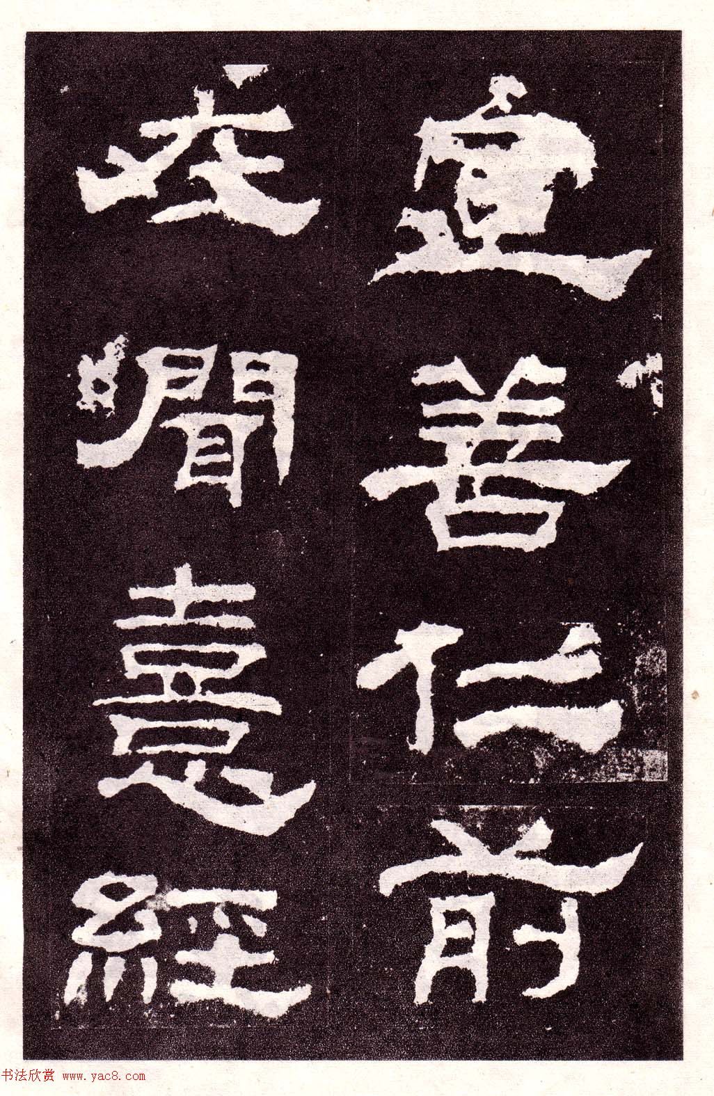 鱮͡