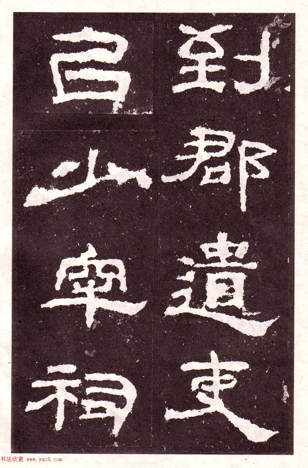 鱮͡