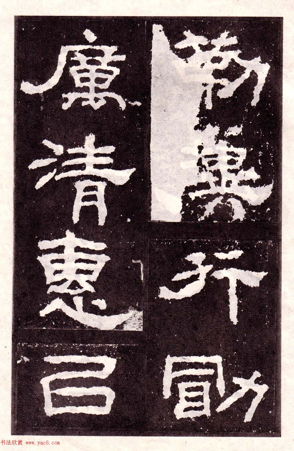 鱮͡