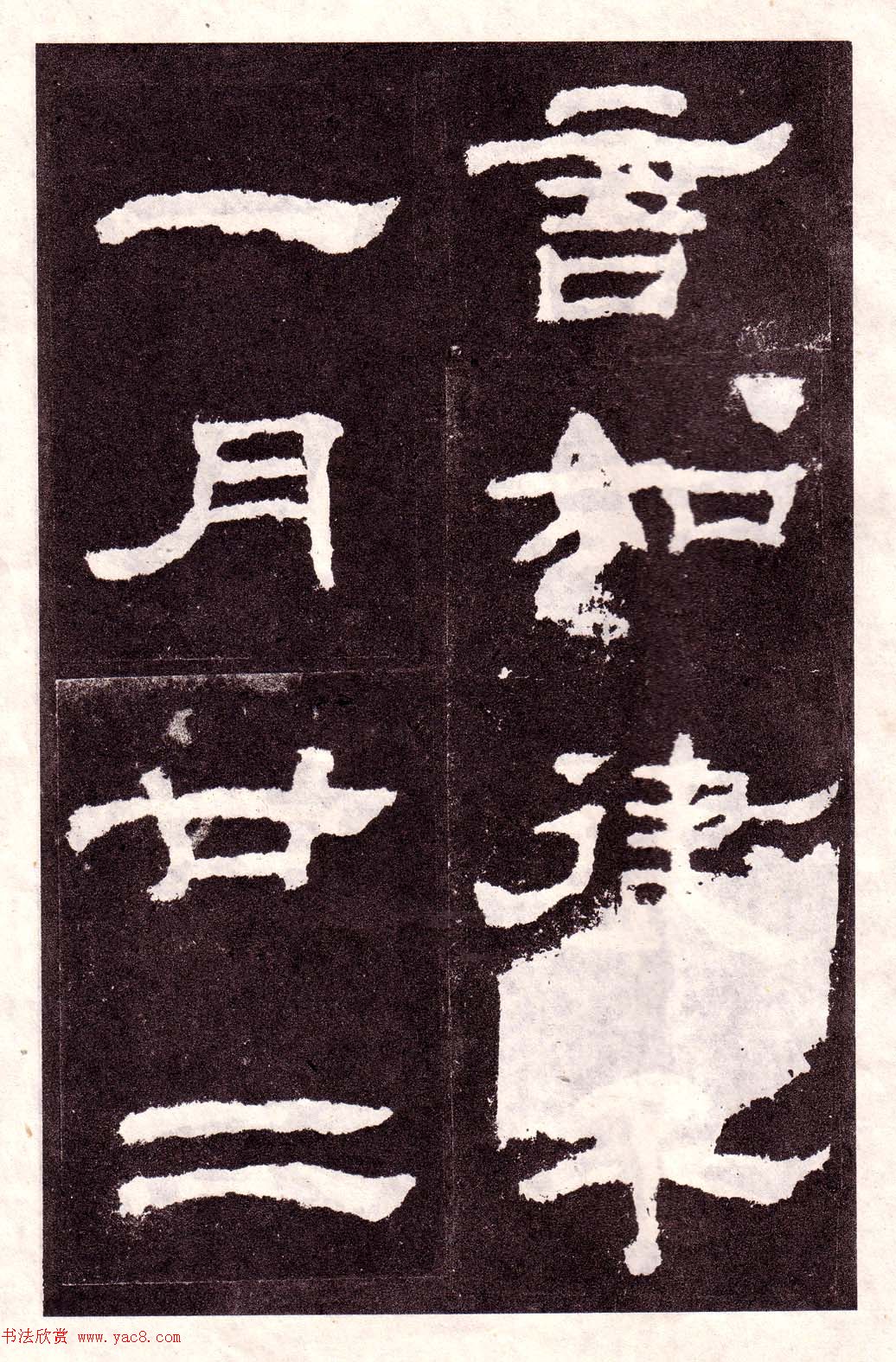鱮͡