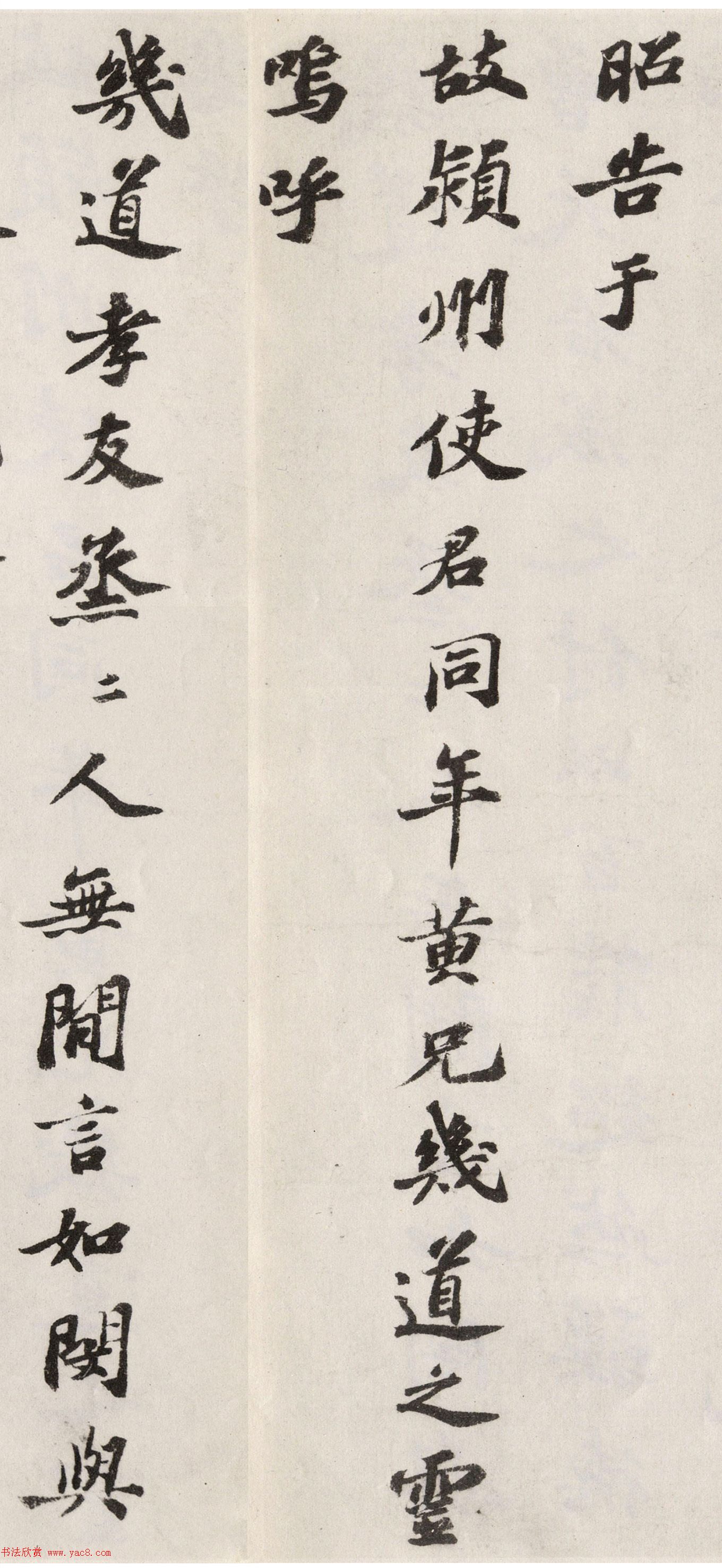 顶Ƽľ