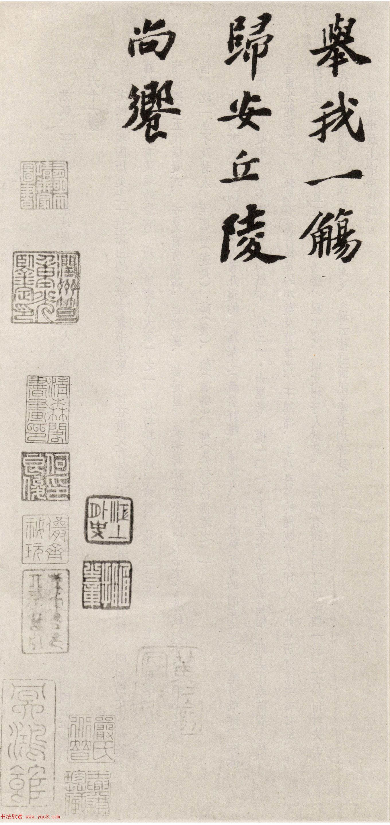 顶Ƽľ