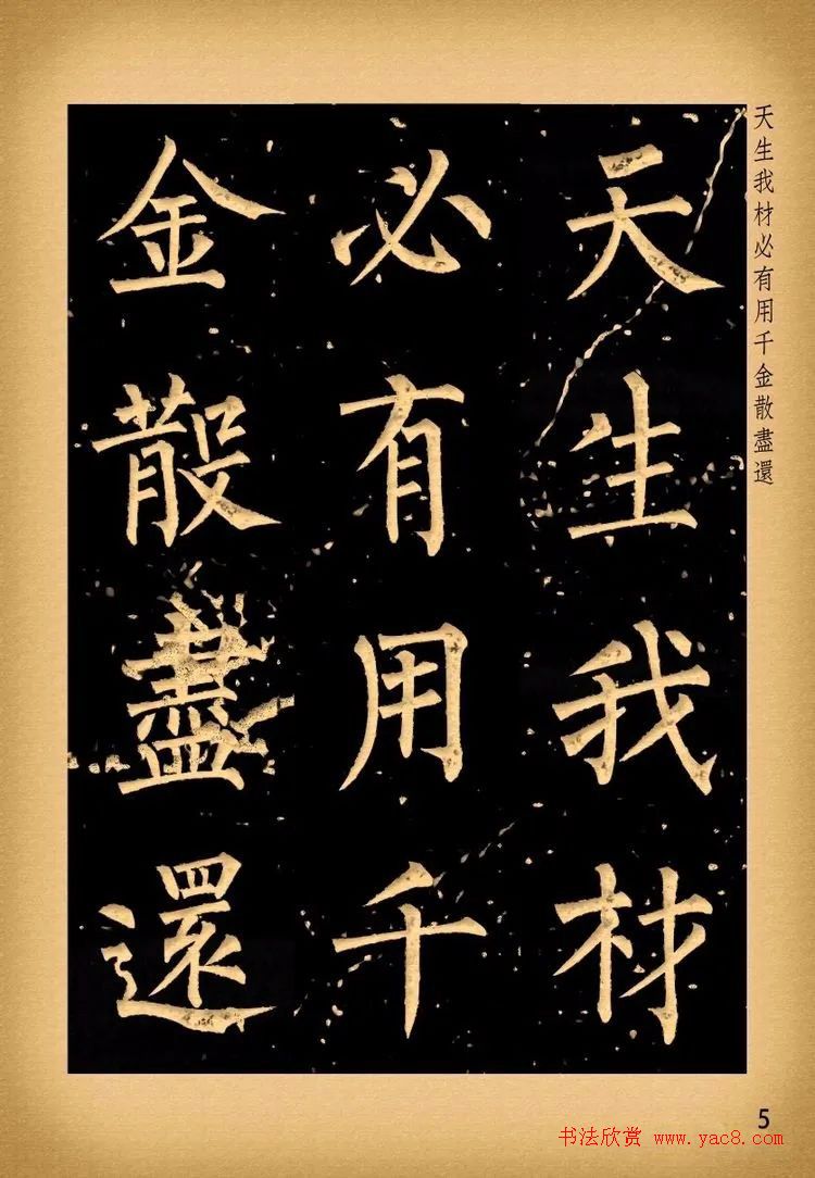 苏新诗柳体仿碑帖《李白将进酒》