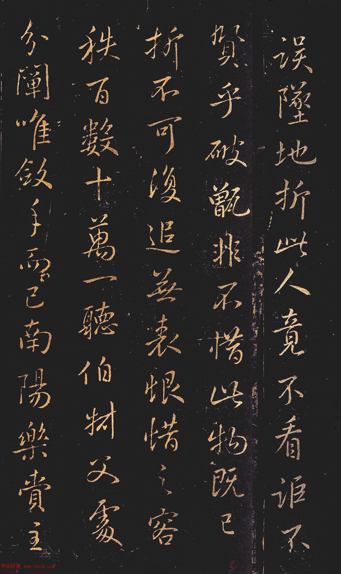 ֮顶׹
