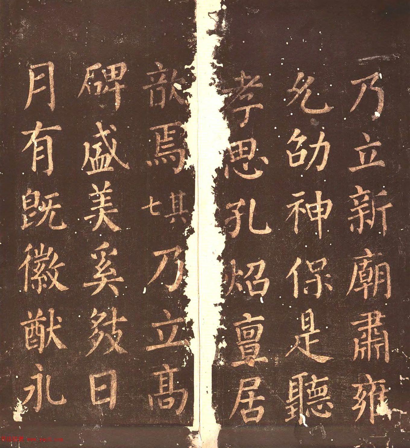 俬顶ñ