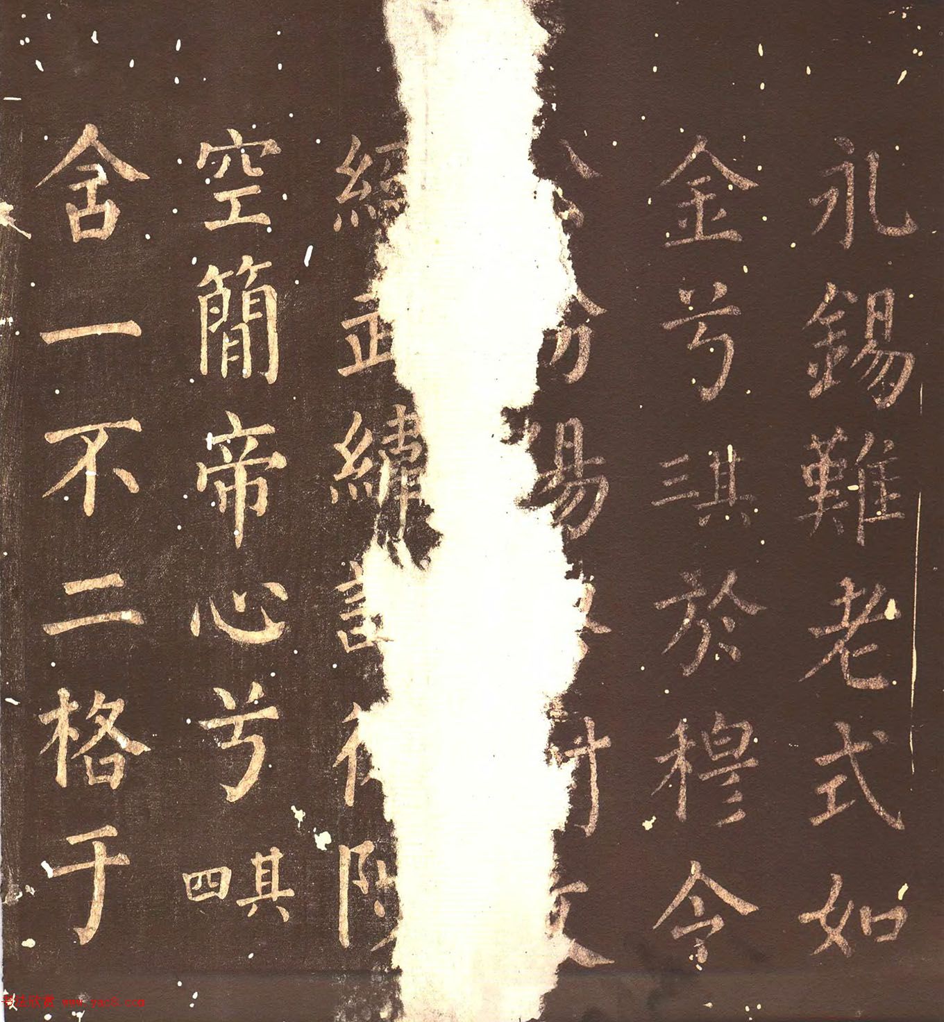 俬顶ñ