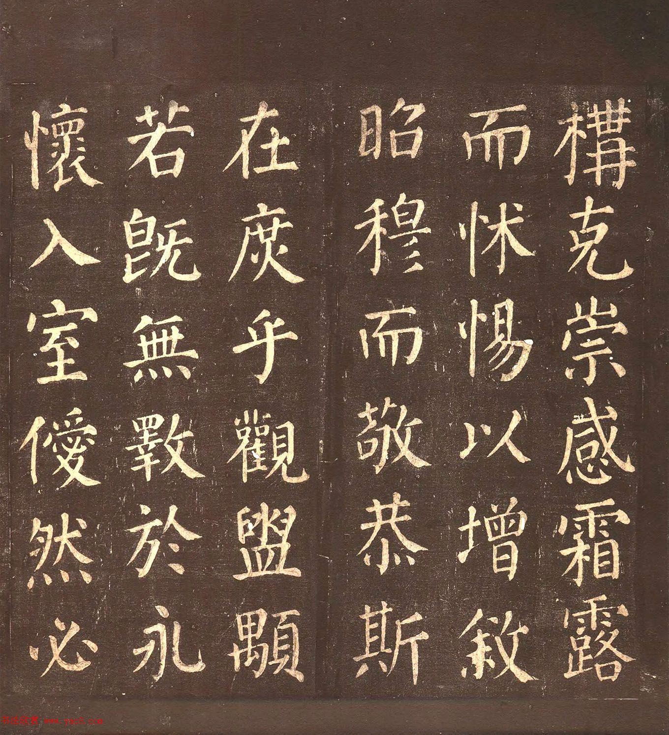 俬顶ñ