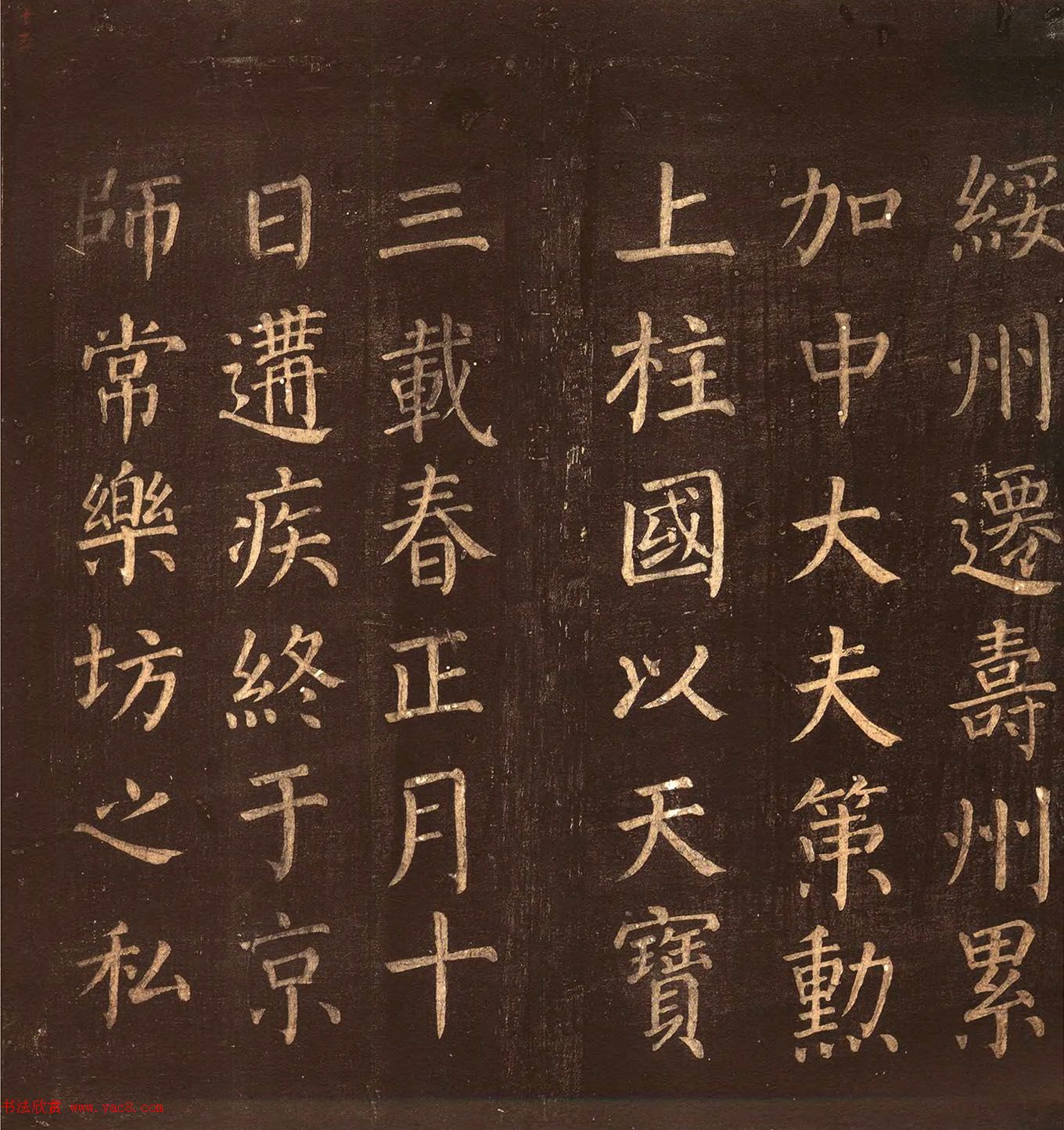 俬顶ñ
