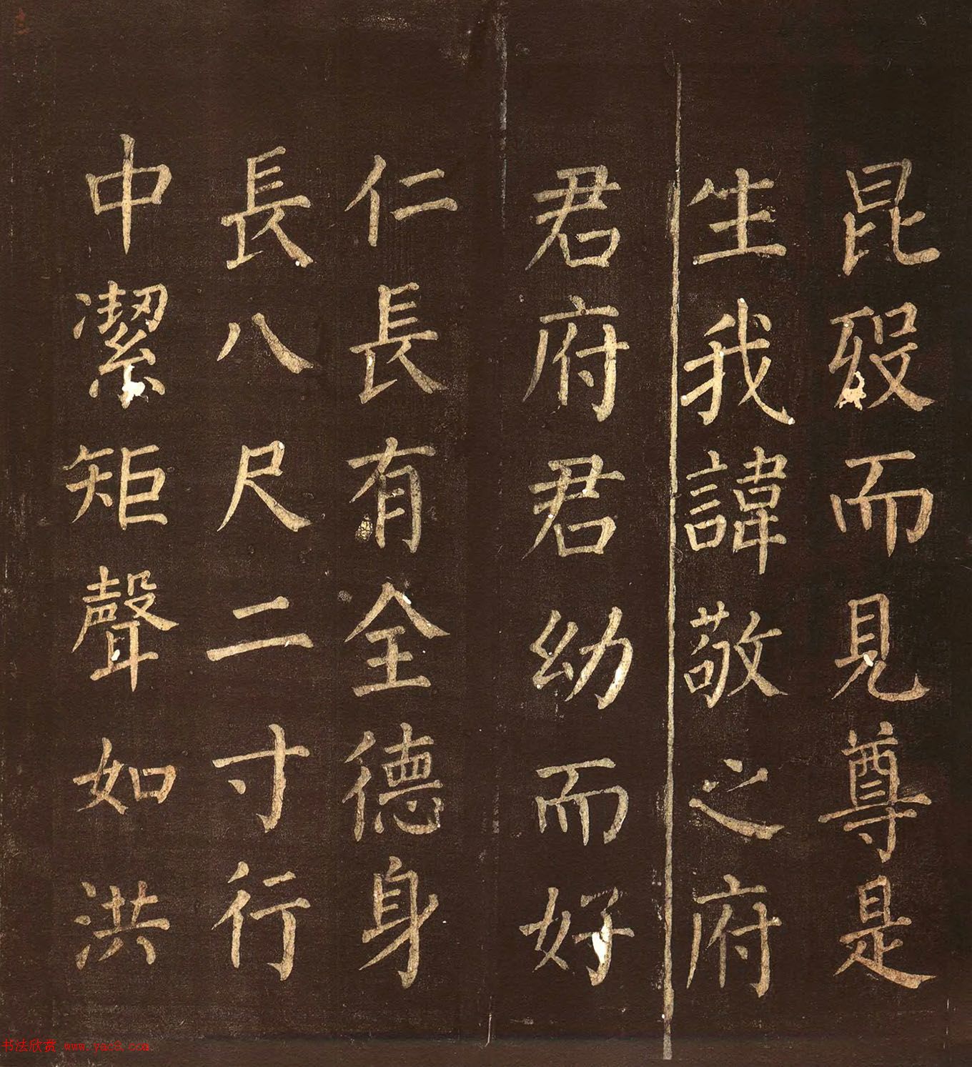俬顶ñ