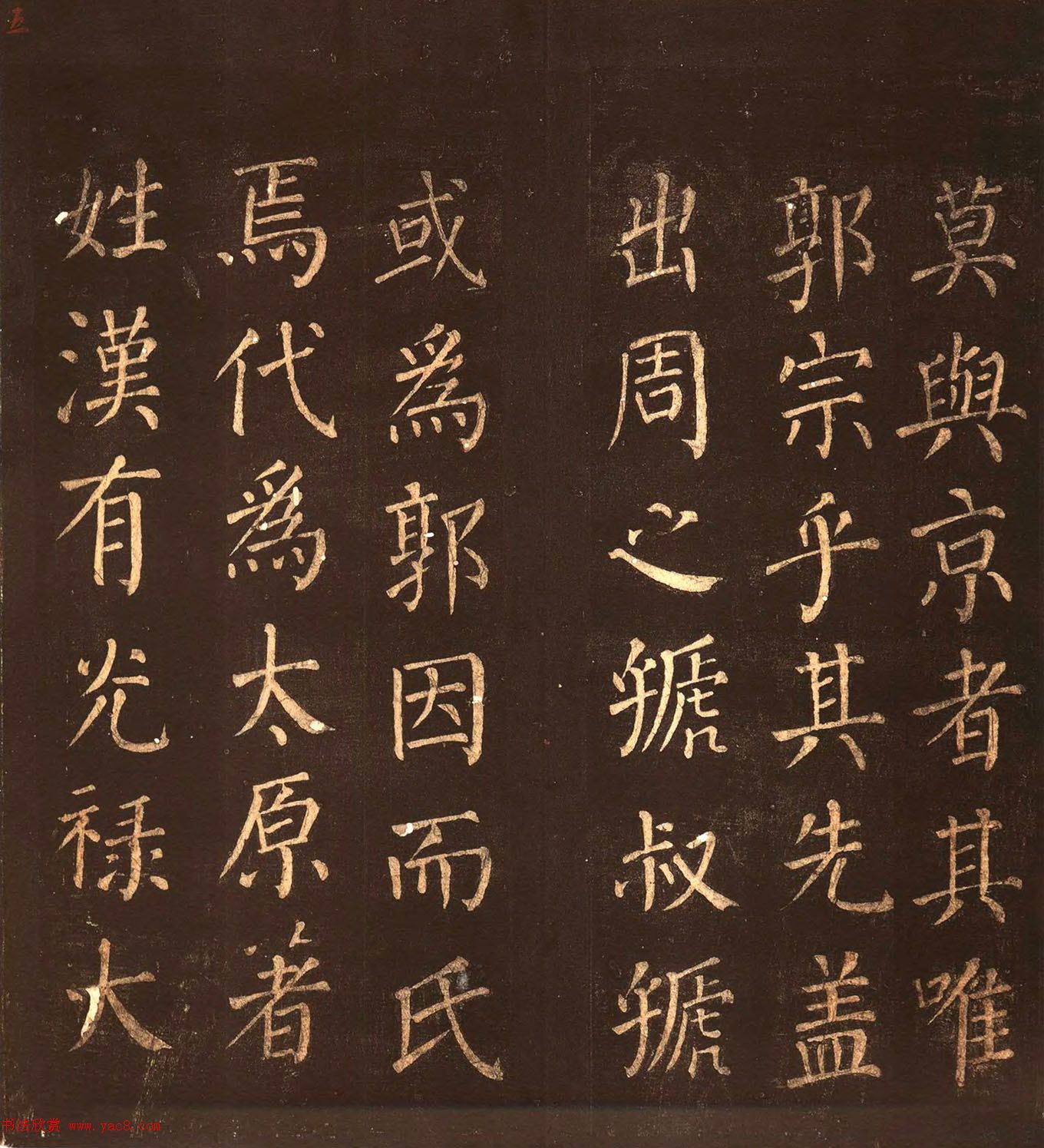 俬顶ñ