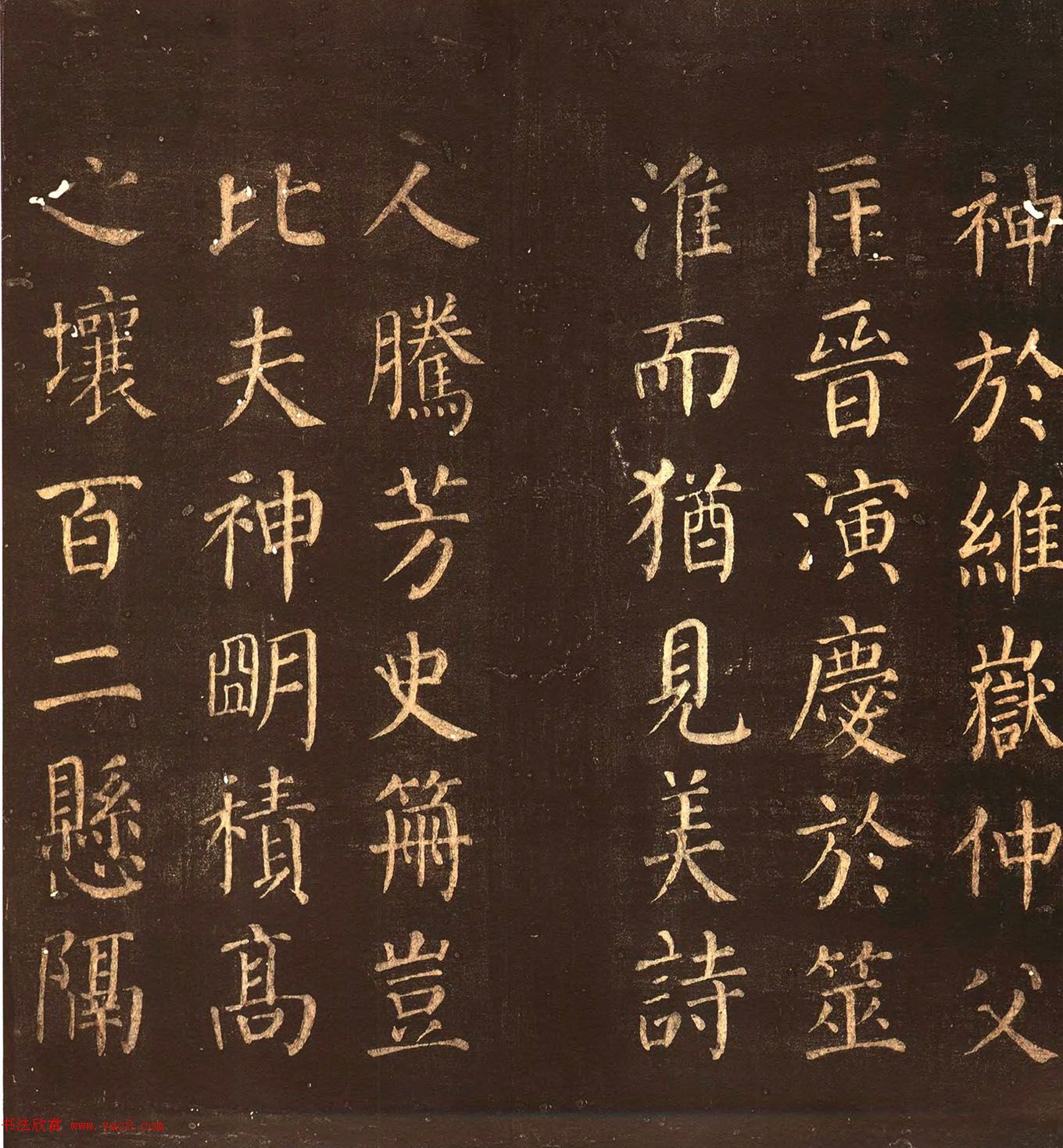 俬顶ñ