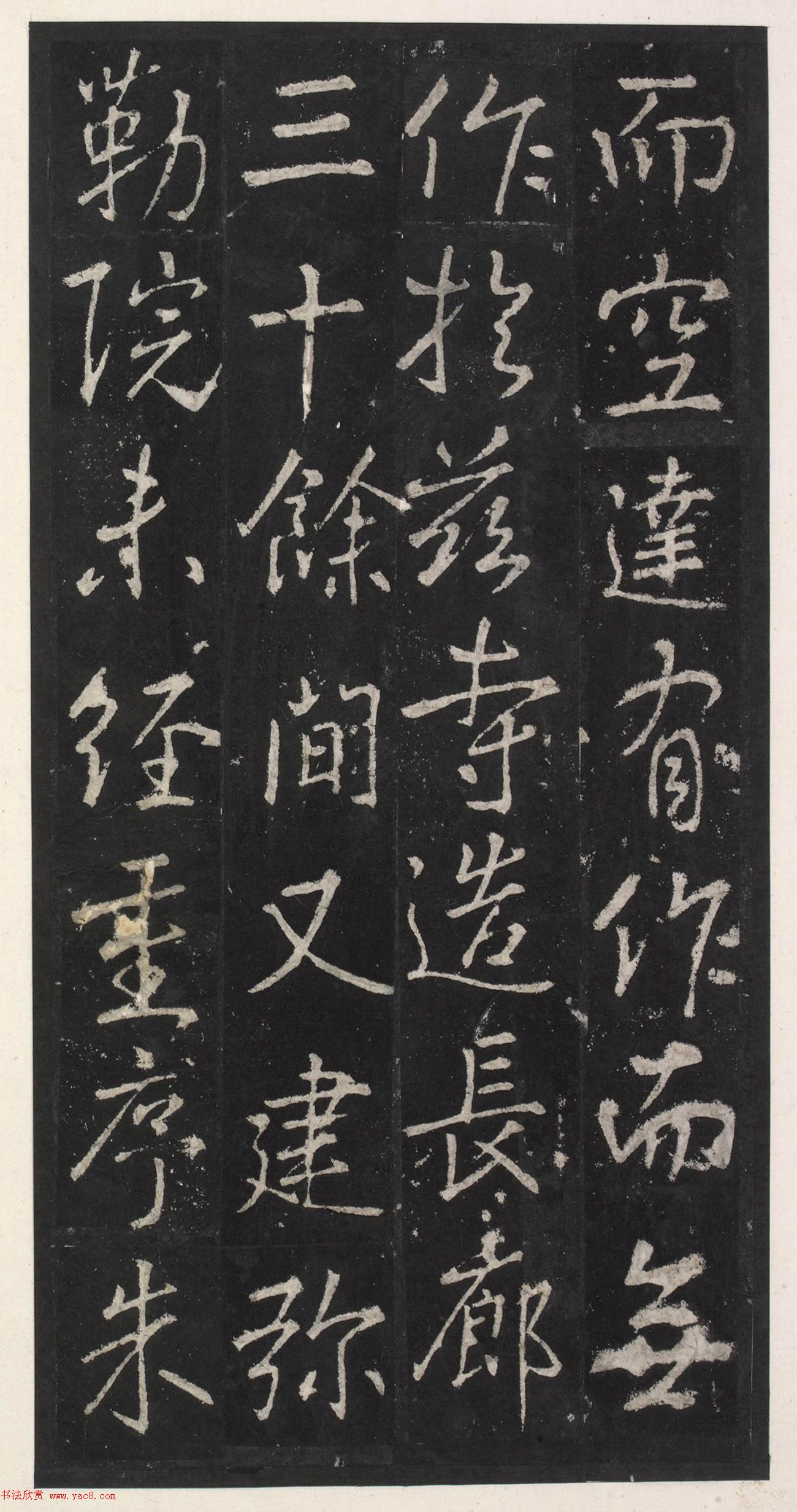 ƴٺ鷨żǡ