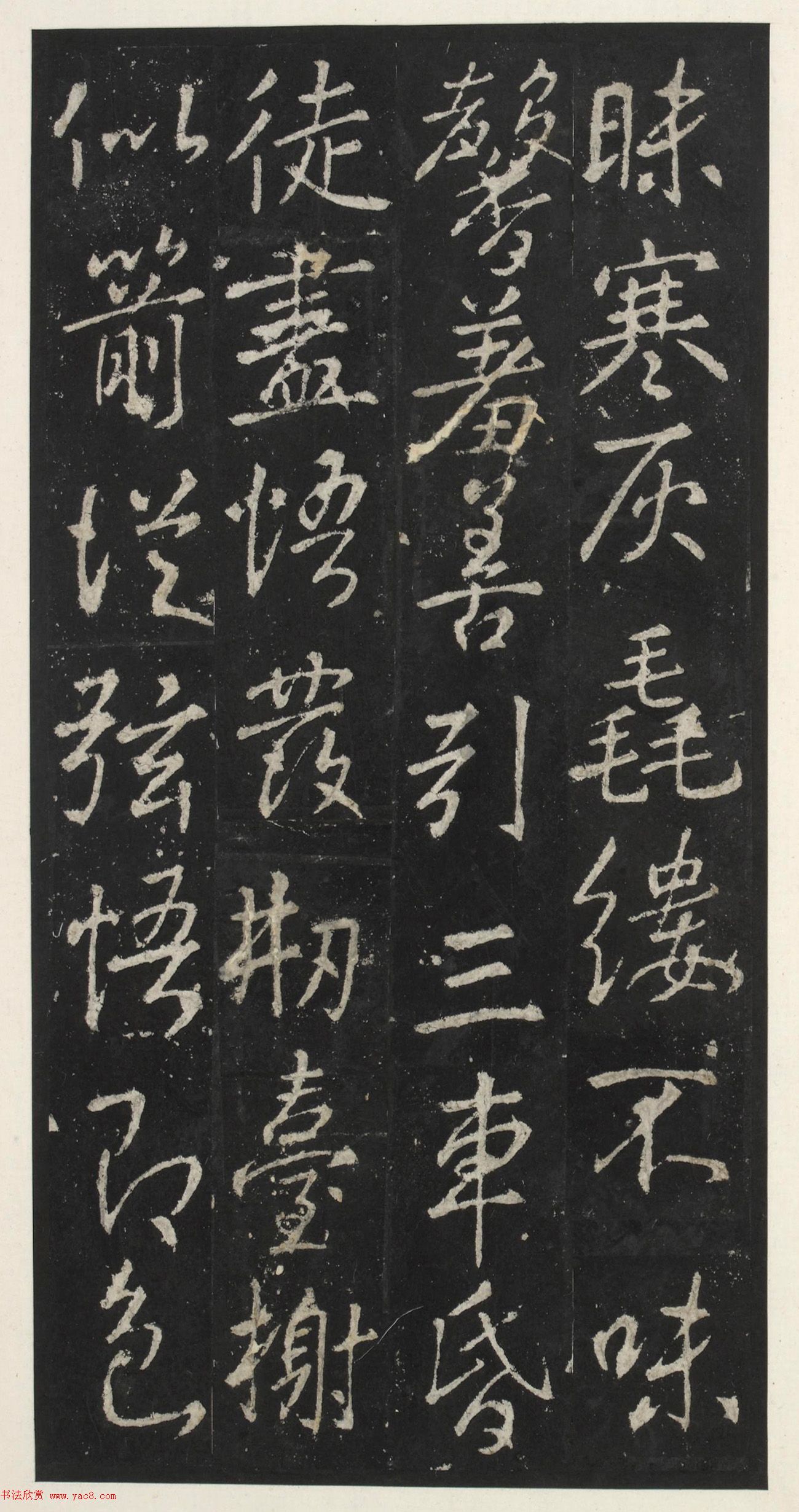 ƴٺ鷨żǡ