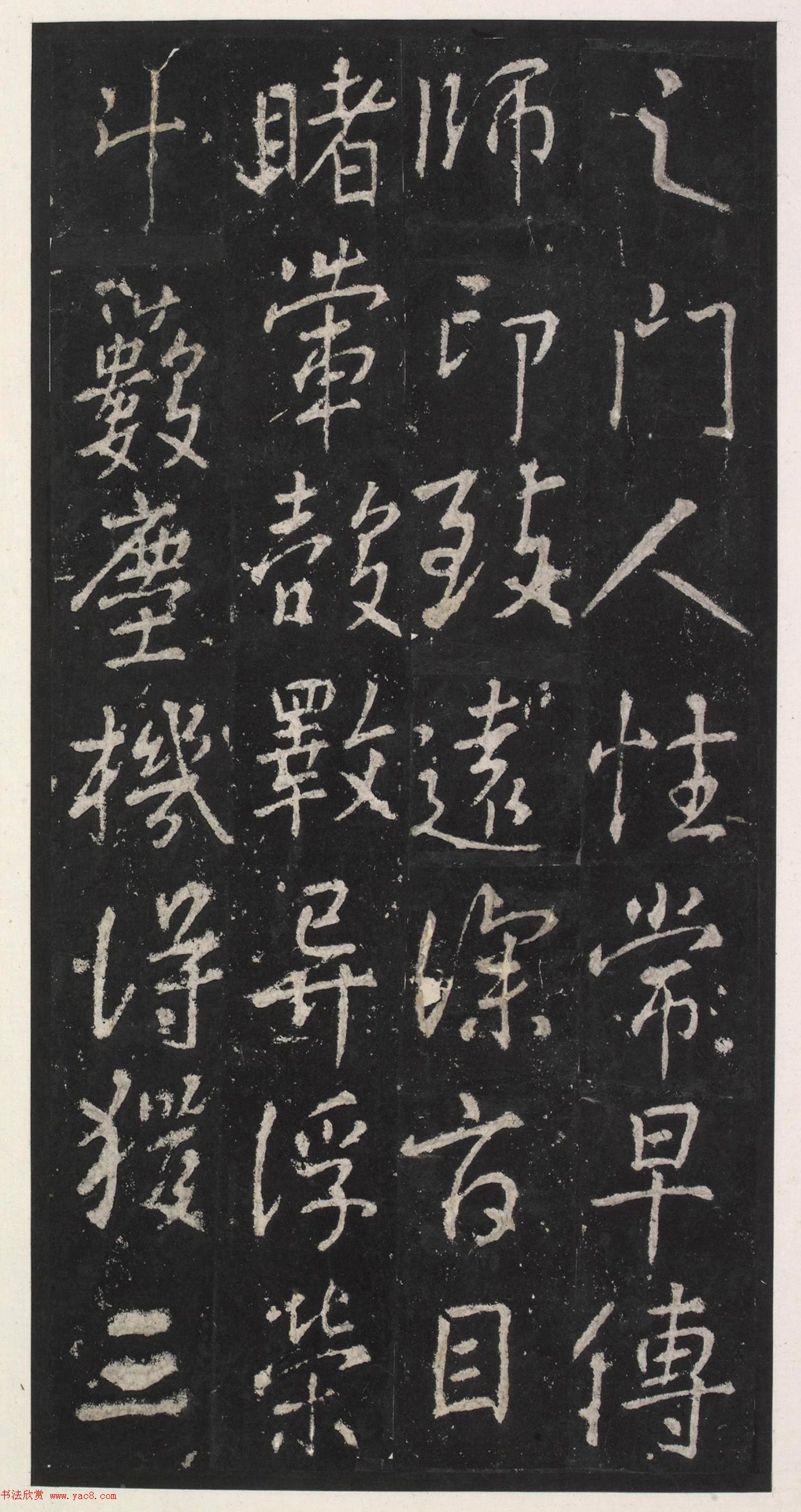 ƴٺ鷨żǡ