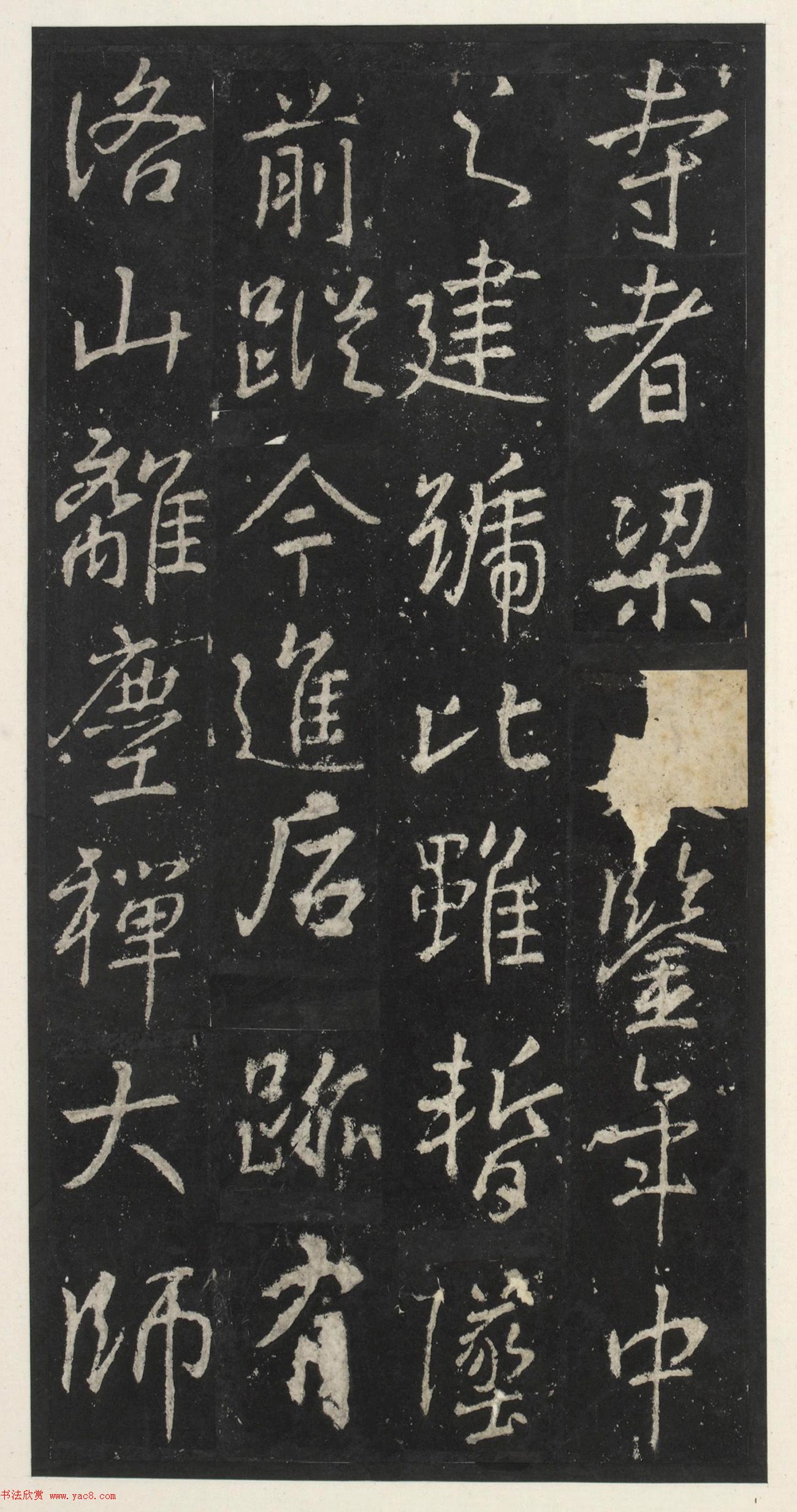 ƴٺ鷨żǡ