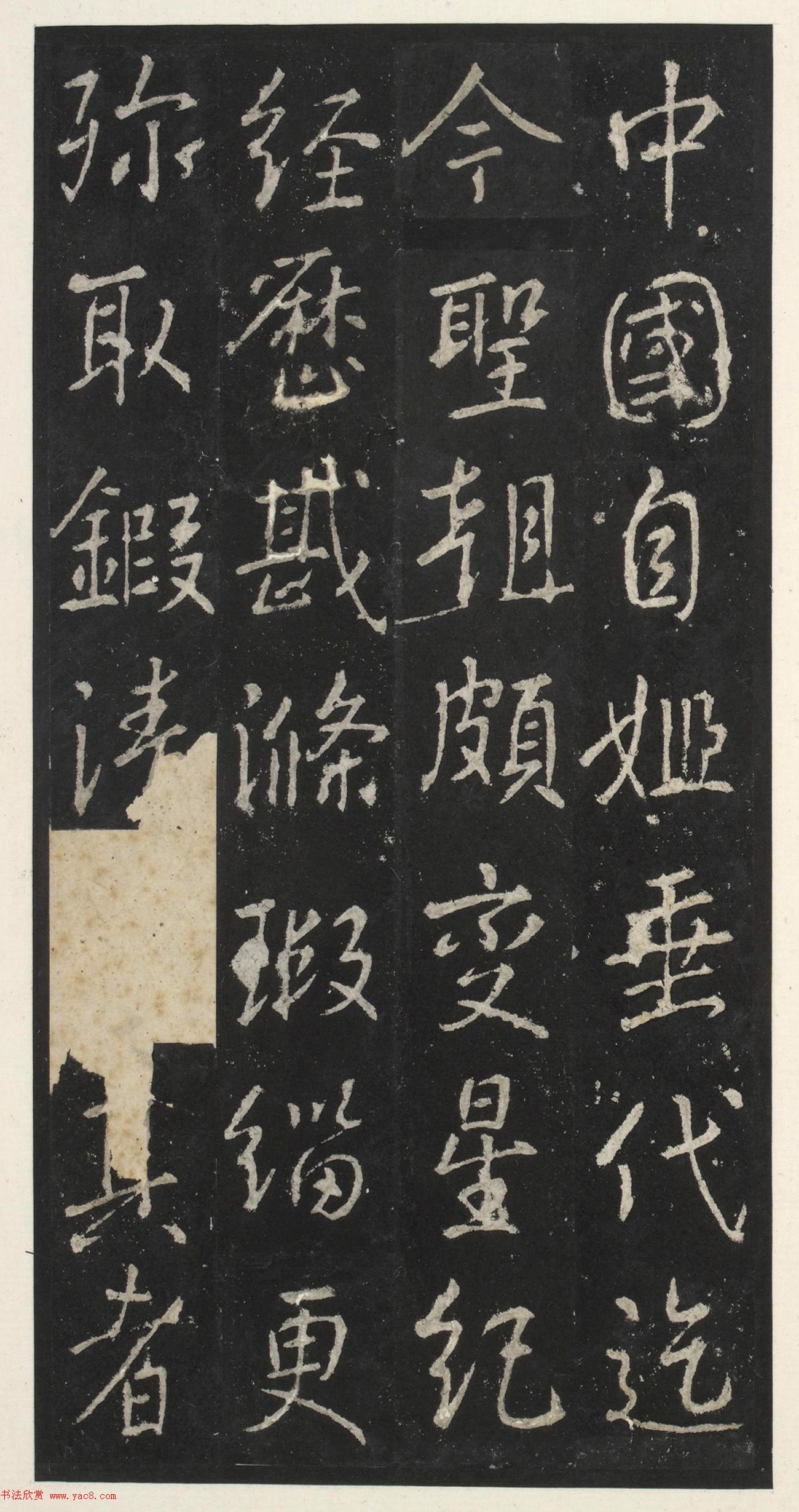 ƴٺ鷨żǡ