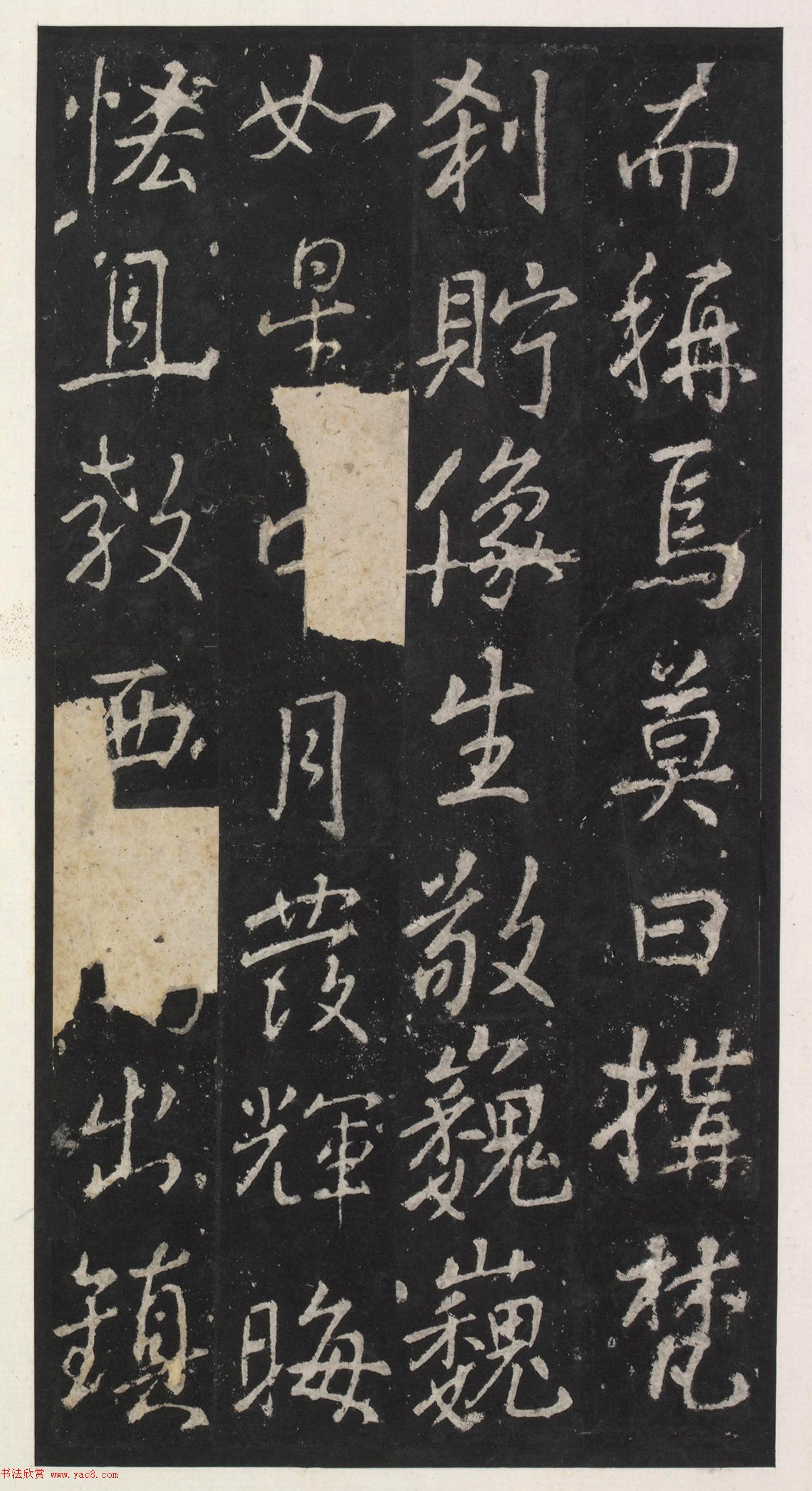 ƴٺ鷨żǡ