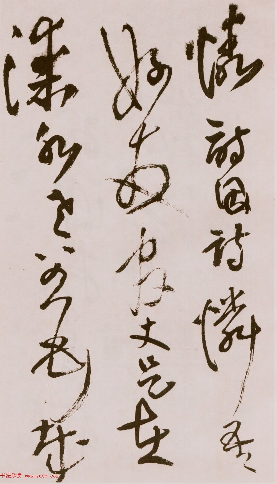 졶ʫ