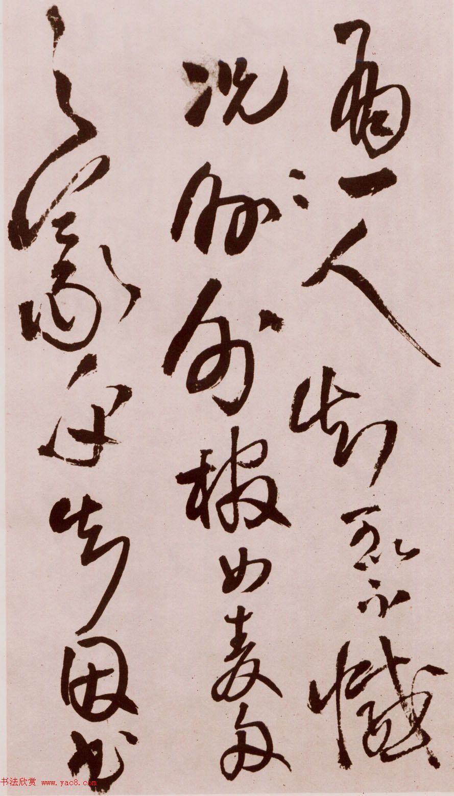 졶ʫ