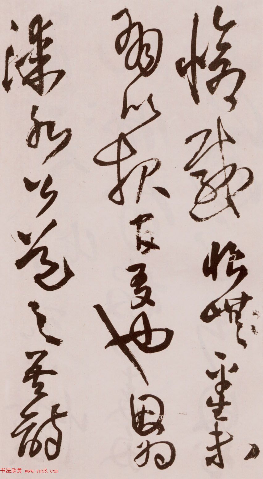 졶ʫ