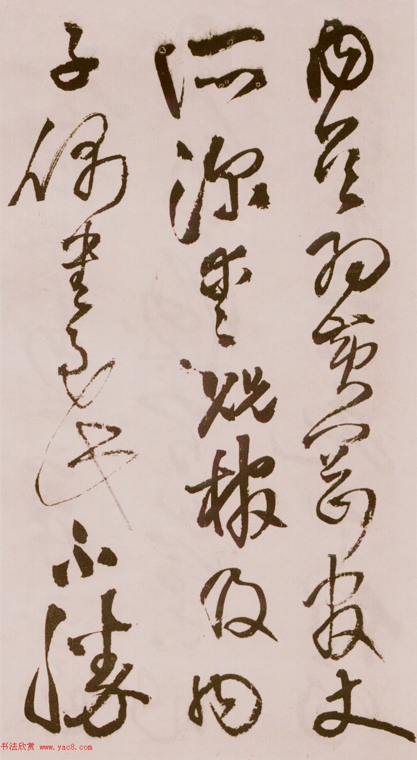 졶ʫ
