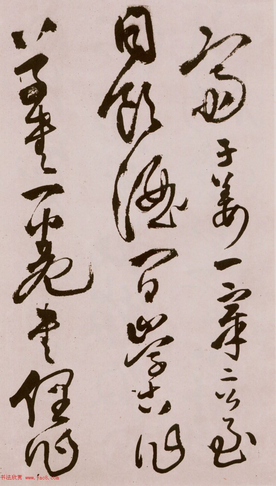 졶ʫ