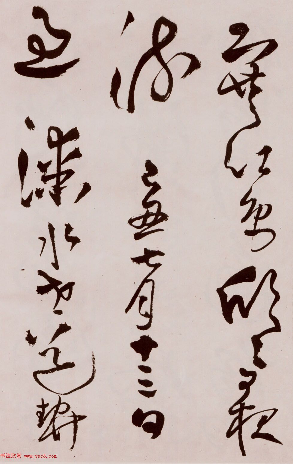 졶ʫ