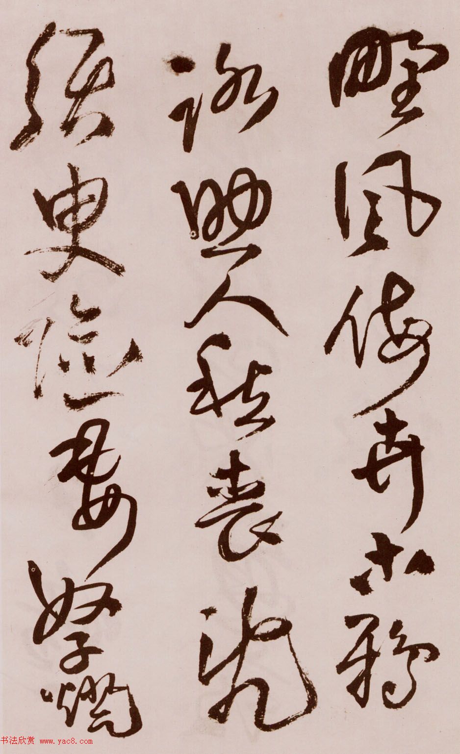 졶ʫ