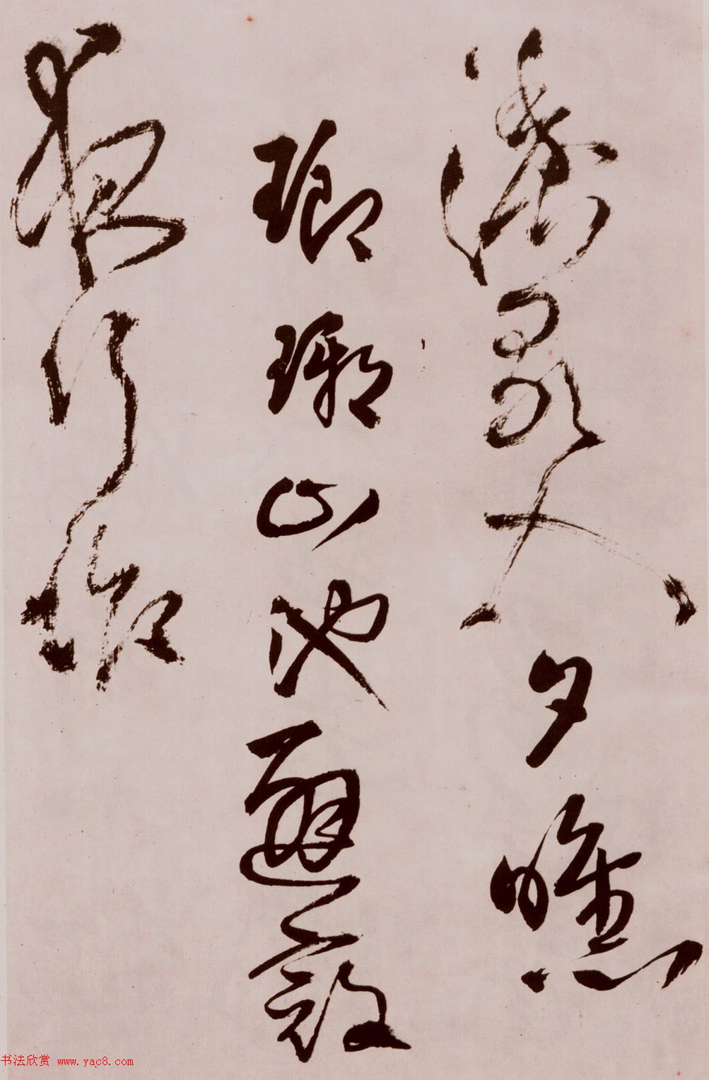 졶ʫ