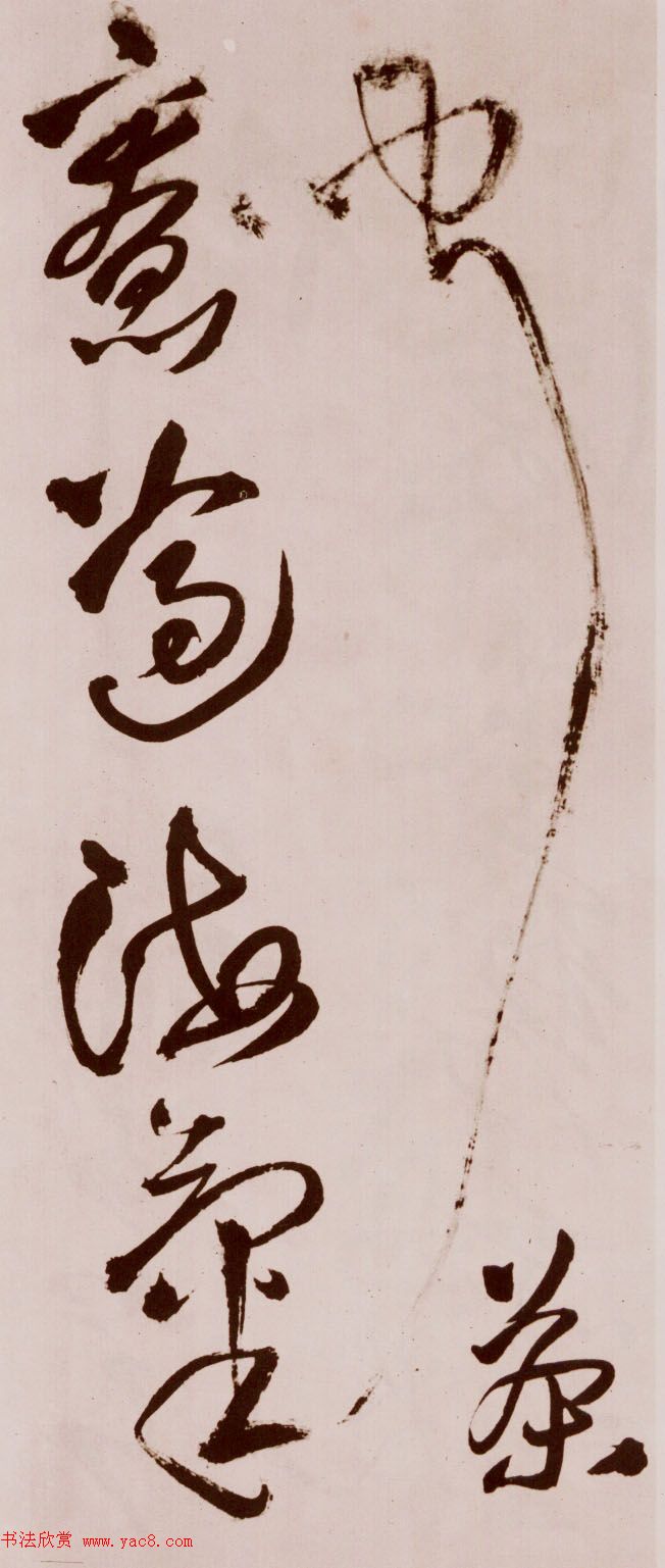 졶ʫ