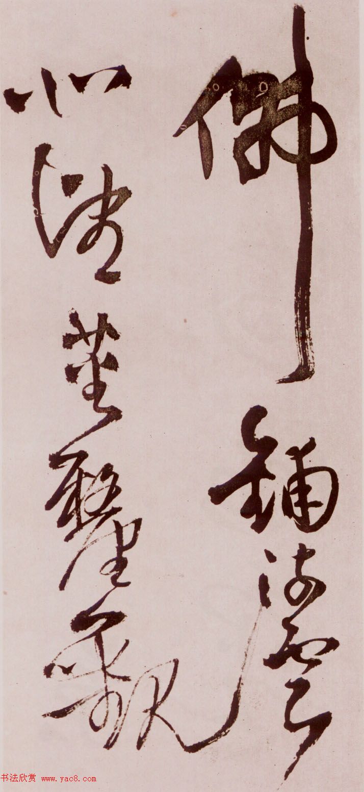 졶ʫ