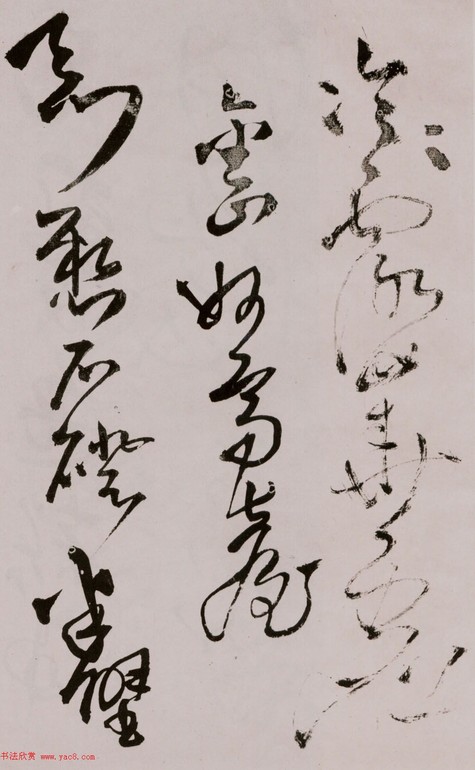 졶ʫ