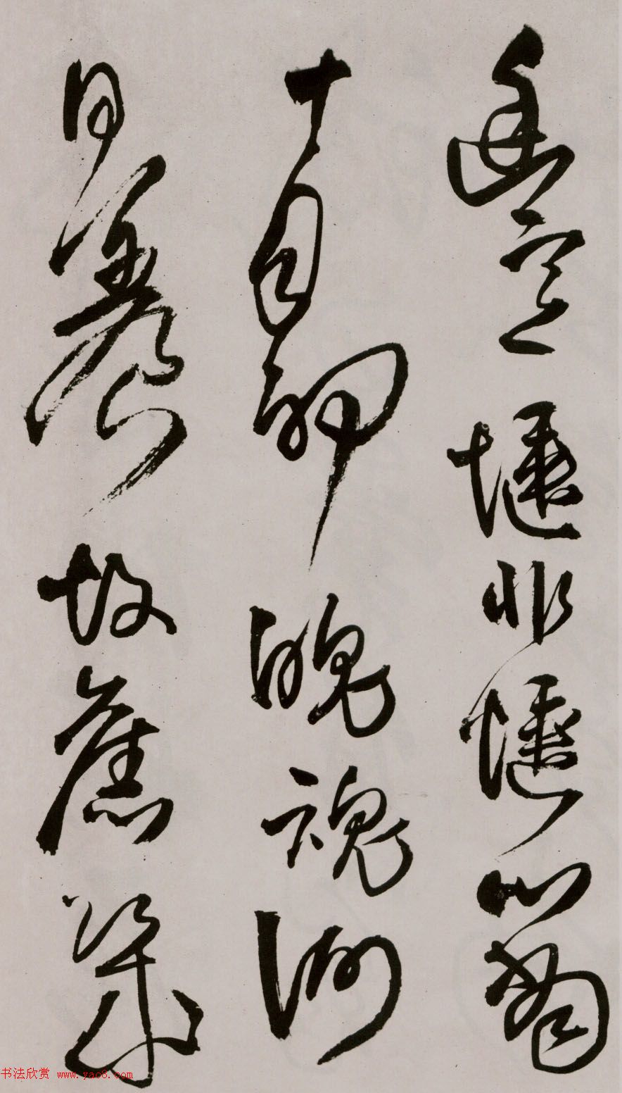 졶ʫ