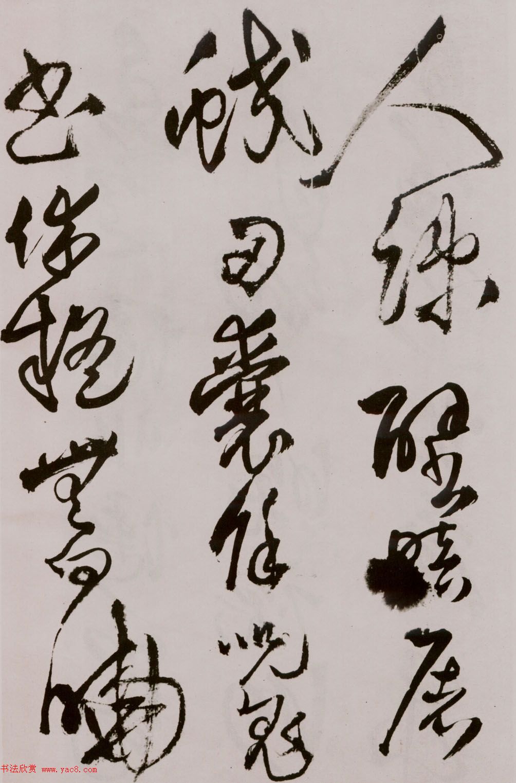 졶ʫ